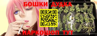 ГАЛЛЮЦИНОГЕННЫЕ ГРИБЫ Нарткала