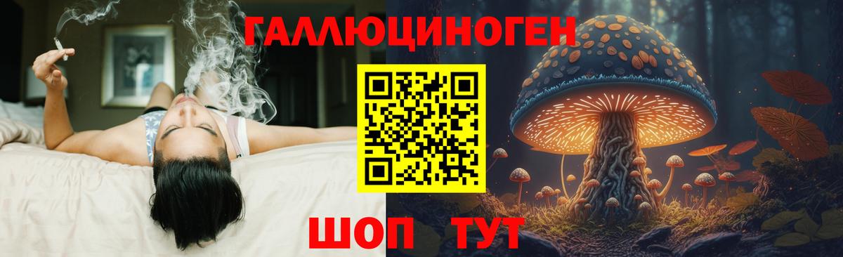 Псилоцибиновые грибы Psilocybine cubensis Новороссийск